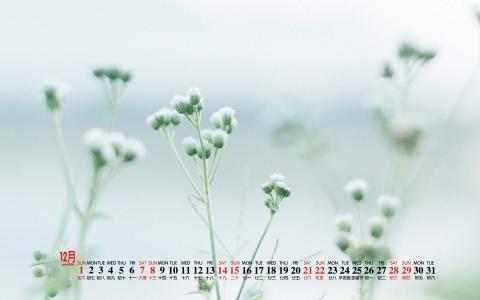 清新桌面图片 _ 第(6)张