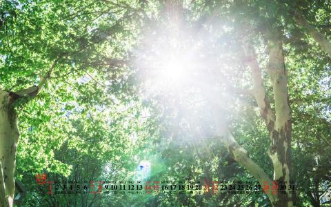 清新桌面图片 _ 第(3)张