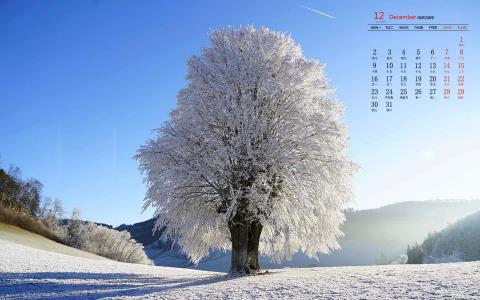 雪景图片 _ 第(6)张