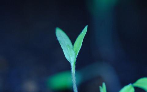 图片 _ 第(2)张