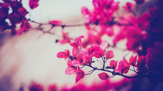 电脑壁纸高清图片 _ 第(9)张