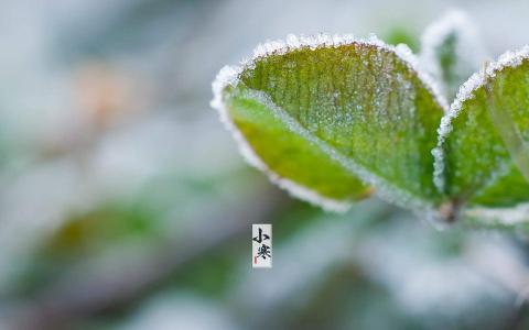二十四节气小寒唯美风景桌面壁纸第5张