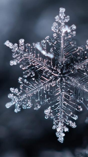 雪景图片 _ 第(6)张