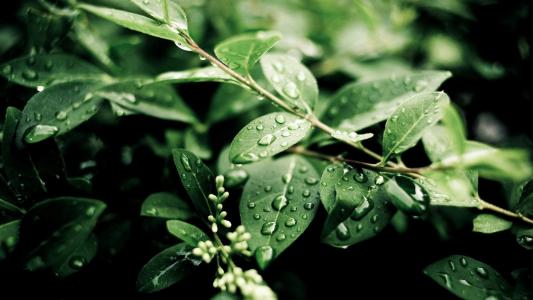 电脑壁纸高清图片 _ 第(10)张