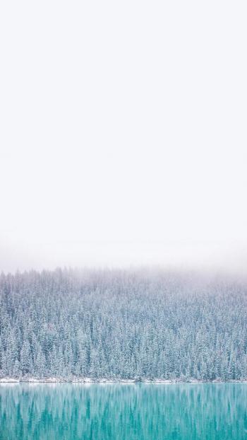 超美冬日雪景图片手机壁纸第5张