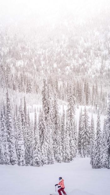 超美冬日雪景图片手机壁纸第6张