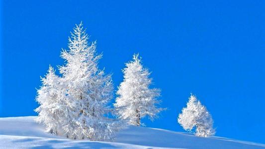 宁心露脐装雪景自拍图片第4张