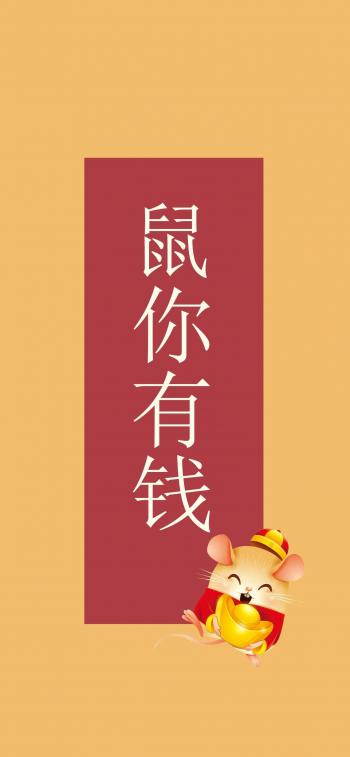 第3张