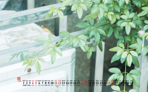 图片 _ 第(5)张