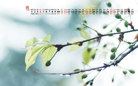 图片 _ 第(8)张