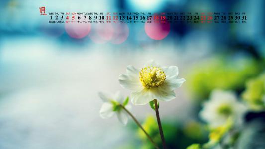 第2张