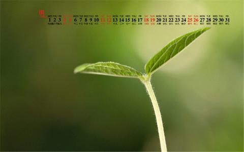 图片 _ 第(7)张