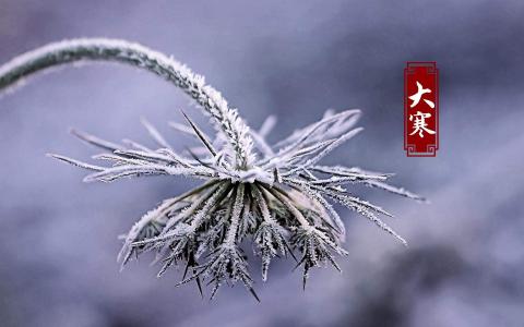 超美星空夜景图片电脑壁纸第4张