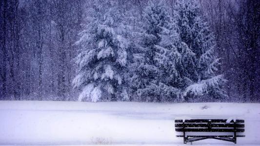 冯若绮清新雪景写真图片第2张