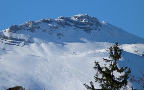宁心露脐装雪景自拍图片第0张