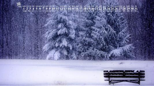 冯若绮清新雪景写真图片第2张
