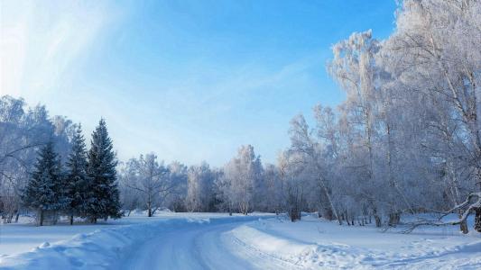 冯若绮清新雪景写真图片第6张
