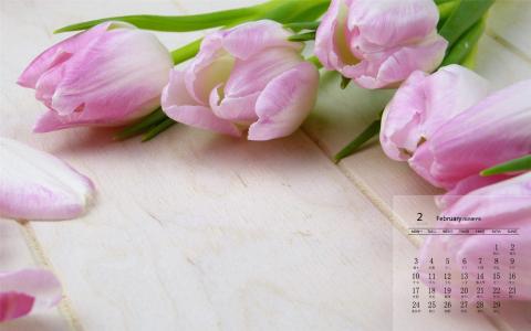 图片 _ 第(8)张