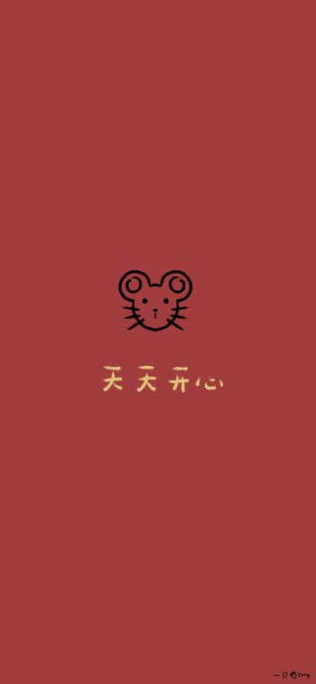 第3张