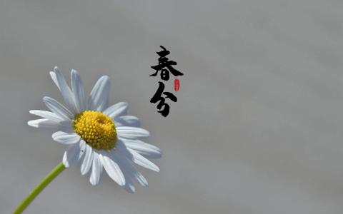 第1张