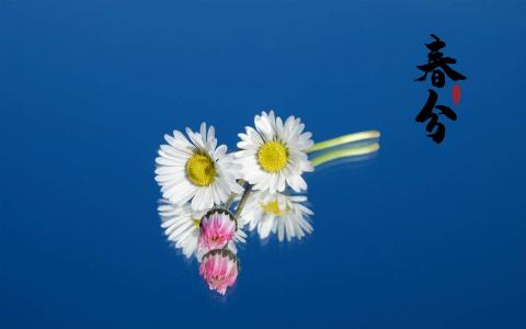 精选水滴摄影图片高清电脑桌面壁纸第6张