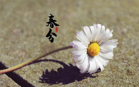 电脑桌面图片 _ 第(9)张