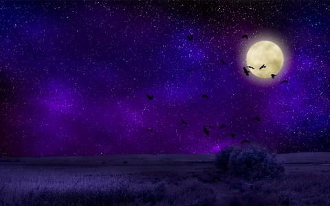 超美星空夜景图片电脑壁纸第3张
