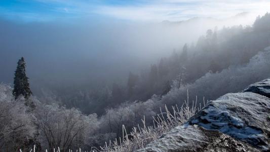 雪景图片 _ 第(7)张