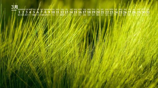 图片 _ 第(5)张