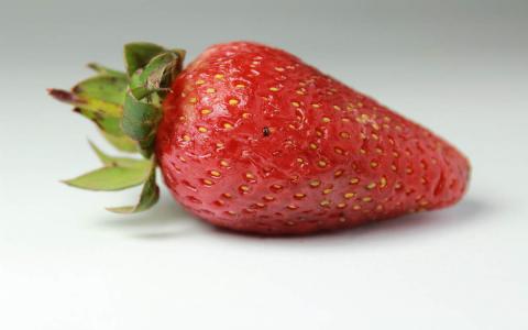 香甜美味的草莓图片桌面壁纸第5张