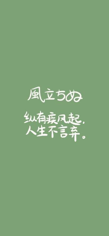 第3张