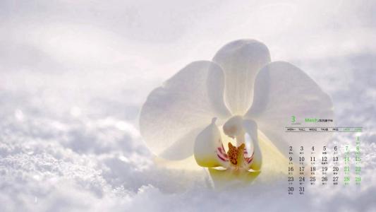 雪景图片 _ 第(5)张