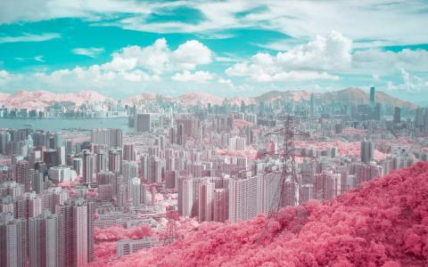 动漫少女图片 _ 第(3)张