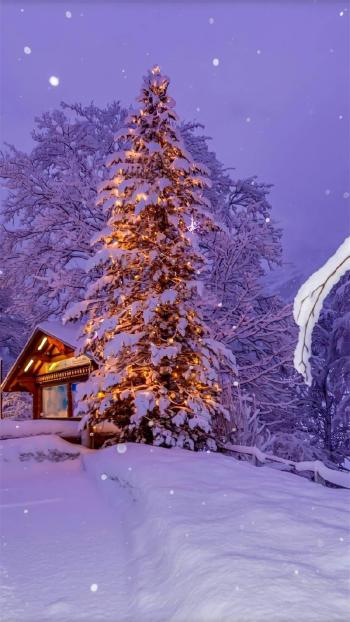 精选超美冬日雪景图片手机壁纸第6张