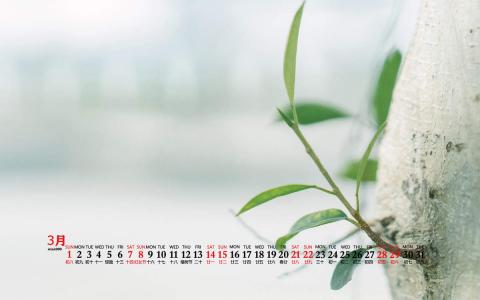 电脑桌面图片 _ 第(1)张