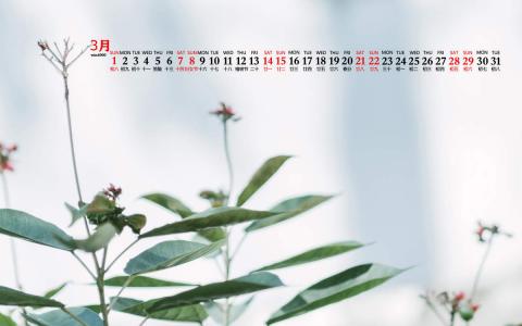电脑桌面图片 _ 第(6)张
