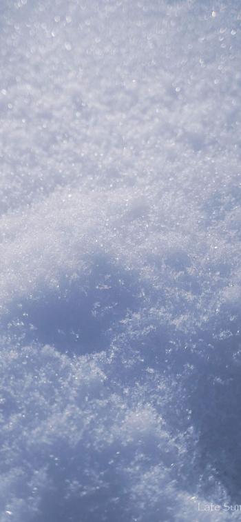 雪景图片 _ 第(9)张