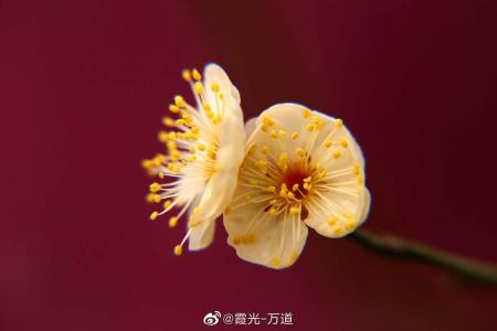 图片 _ 第(3)张