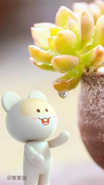 多肉植物图片 _ 第(1)张