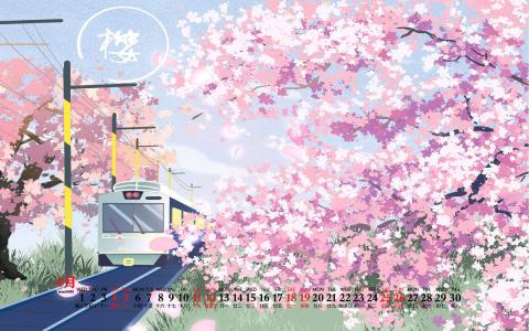 樱花图片 _ 第(3)张