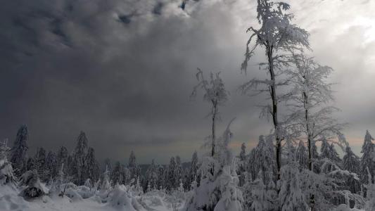 王丽坤清纯靓丽雪景写真图片第0张