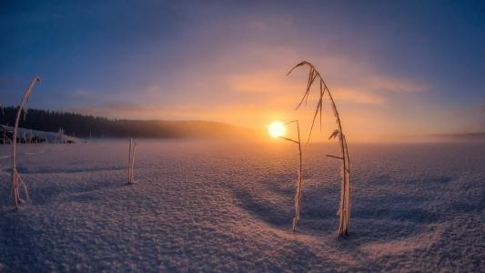 王丽坤清纯靓丽雪景写真图片第6张
