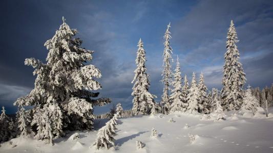 冯若绮清新雪景写真图片第1张