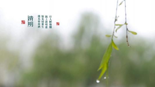 清明节唯美图文高清桌面壁纸第2张