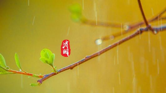 清明节唯美图文高清桌面壁纸第4张