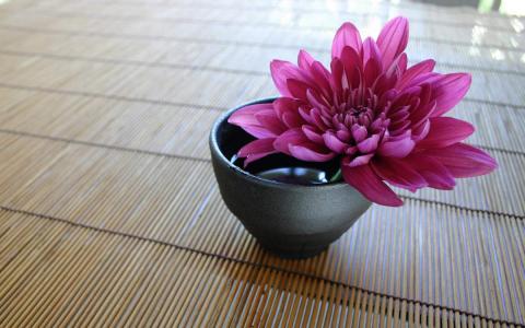 陈钰琪清新淡雅写真图片第0张
