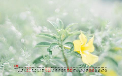 清新桌面图片 _ 第(9)张