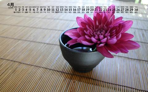 2020年4月唯美菊花图片日历壁纸第0张