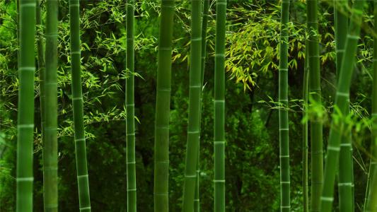 图片 _ 第(1)张
