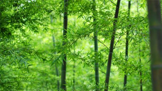 图片 _ 第(6)张